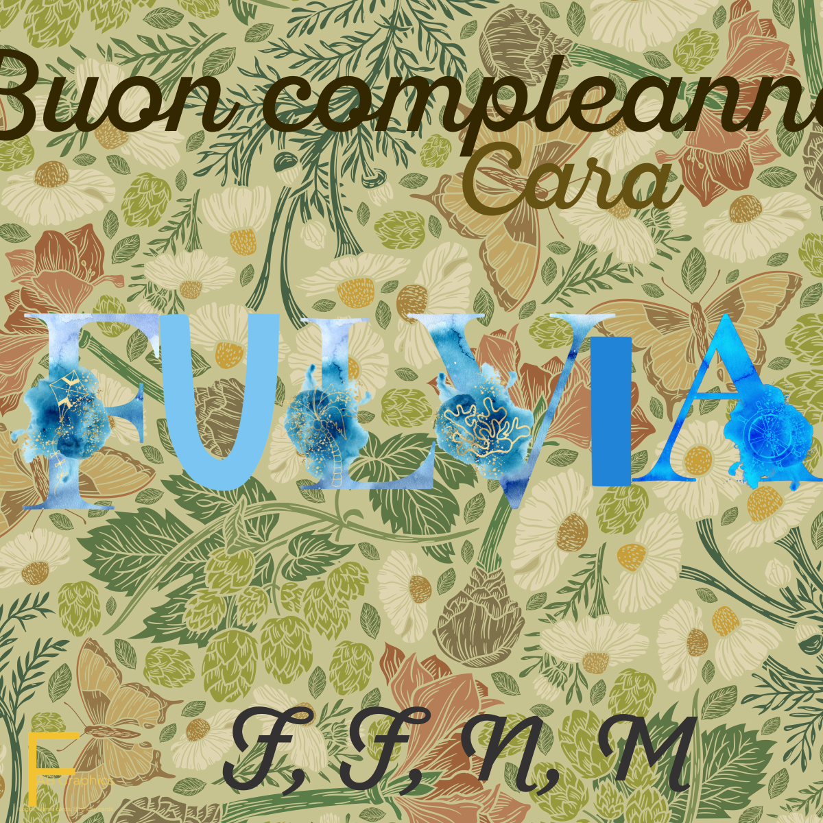 BD Fulvia – FFNM